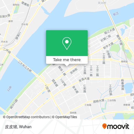 皮皮猪 map