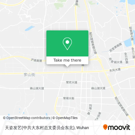 天姿发艺(中共大东村总支委员会东北) map
