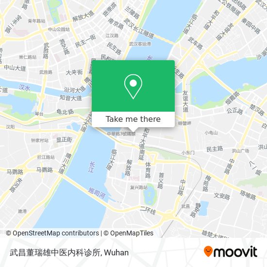 武昌董瑞雄中医内科诊所 map