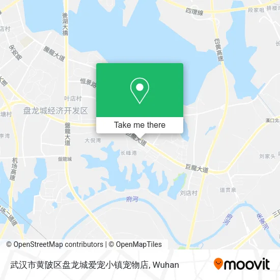 武汉市黄陂区盘龙城爱宠小镇宠物店 map