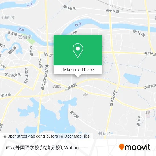 武汉外国语学校(鸿润分校) map