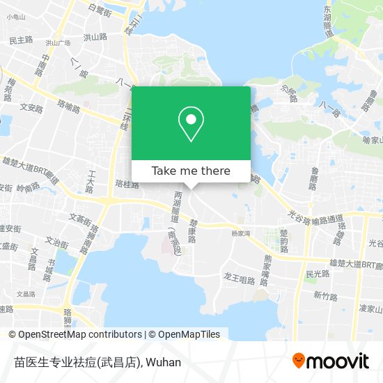 苗医生专业祛痘(武昌店) map