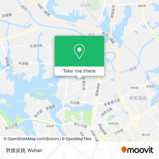 胖嫂炭烧 map