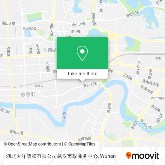 湖北大洋塑胶有限公司武汉市政商务中心 map