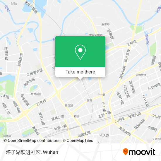 塔子湖跃进社区 map
