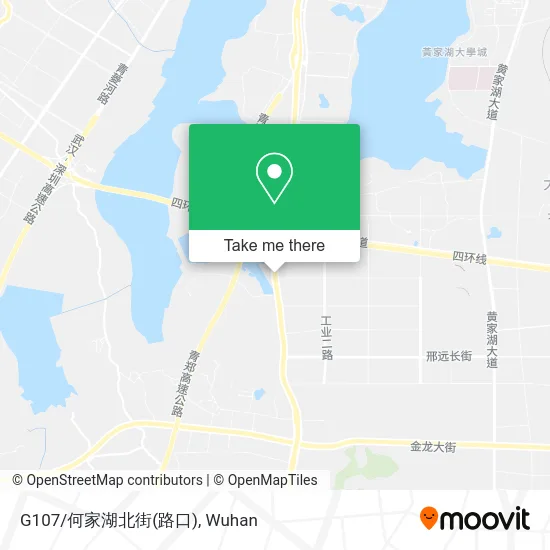 G107/何家湖北街(路口) map