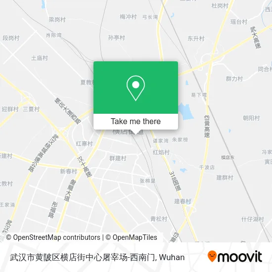 武汉市黄陂区横店街中心屠宰场-西南门 map