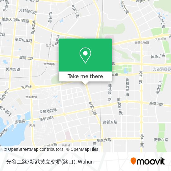 光谷二路/新武黄立交桥(路口) map