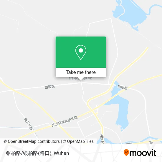 张柏路/银柏路(路口) map