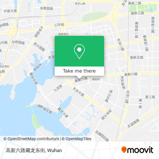 高新六路藏龙东街 map