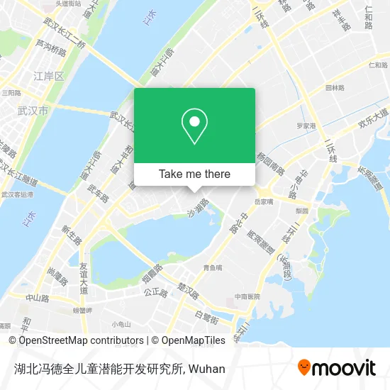 湖北冯德全儿童潜能开发研究所 map
