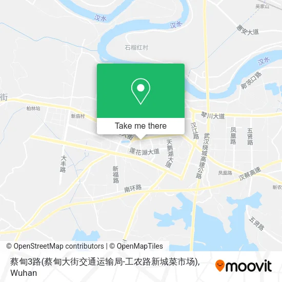 蔡甸3路(蔡甸大街交通运输局-工农路新城菜市场) map