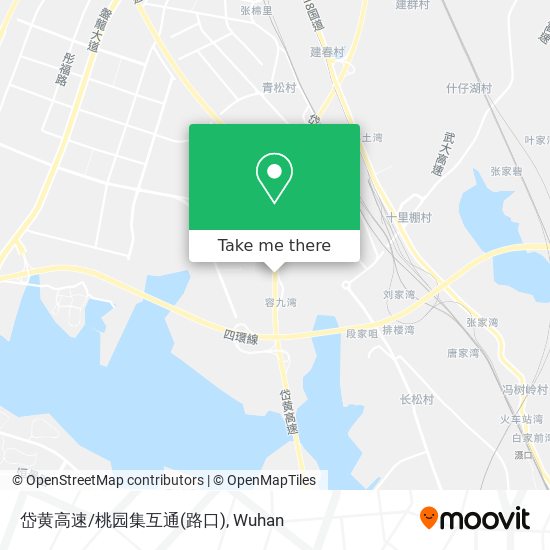 岱黄高速/桃园集互通(路口) map