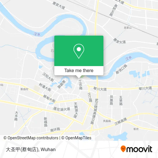 大圣甲(蔡甸店) map