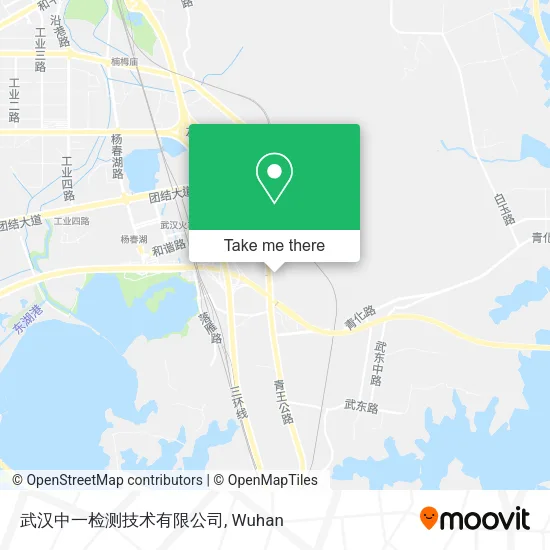 武汉中一检测技术有限公司 map