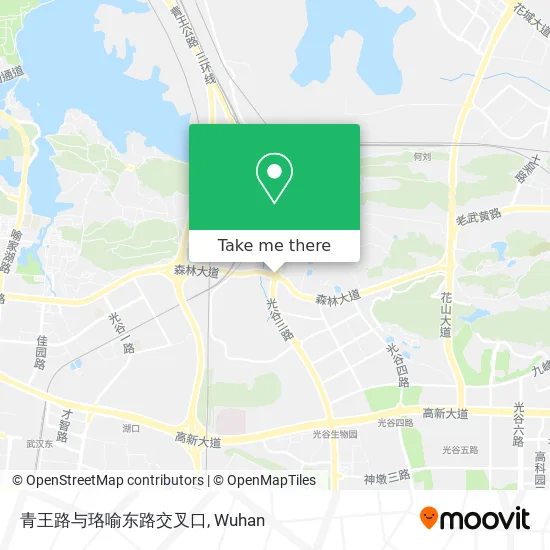 青王路与珞喻东路交叉口 map