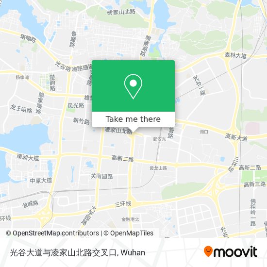 光谷大道与凌家山北路交叉口 map