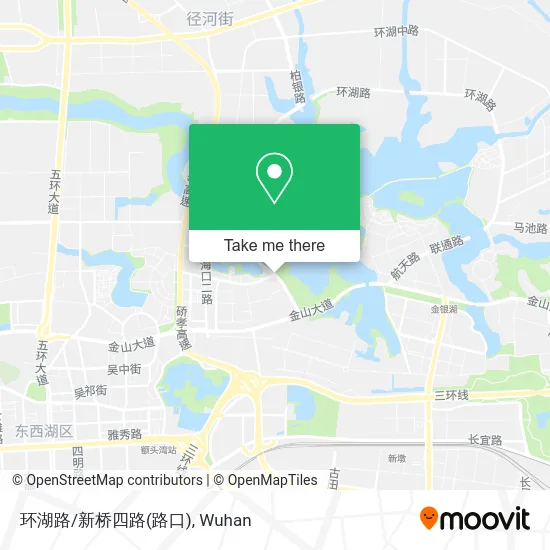 环湖路/新桥四路(路口) map