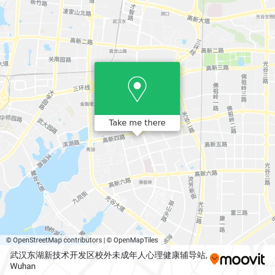 武汉东湖新技术开发区校外未成年人心理健康辅导站 map