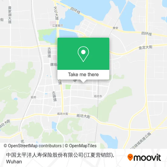中国太平洋人寿保险股份有限公司(江夏营销部) map