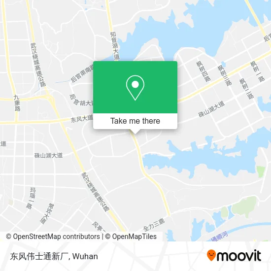 东风伟士通新厂 map