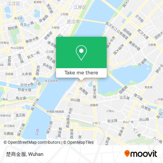 楚商金服 map