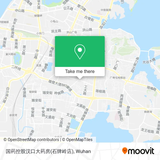 国药控股汉口大药房(石牌岭店) map