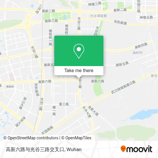 高新六路与光谷三路交叉口 map