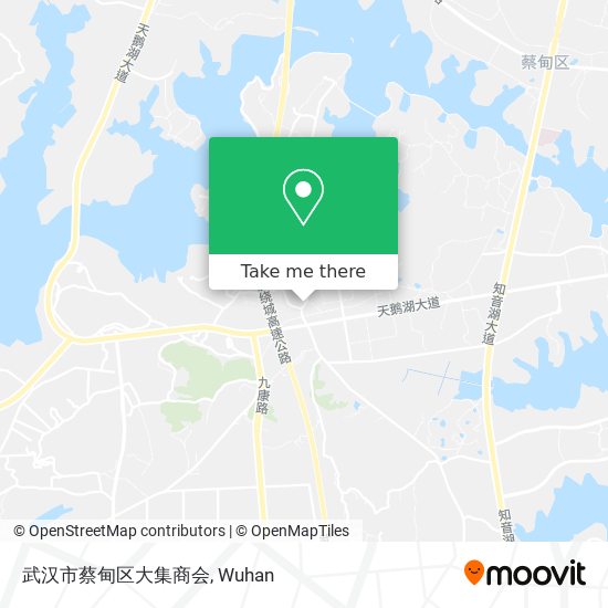 武汉市蔡甸区大集商会 map