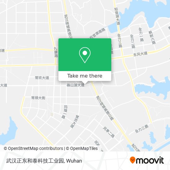 武汉正东和泰科技工业园 map