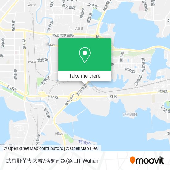 武昌野芷湖大桥/珞狮南路(路口) map