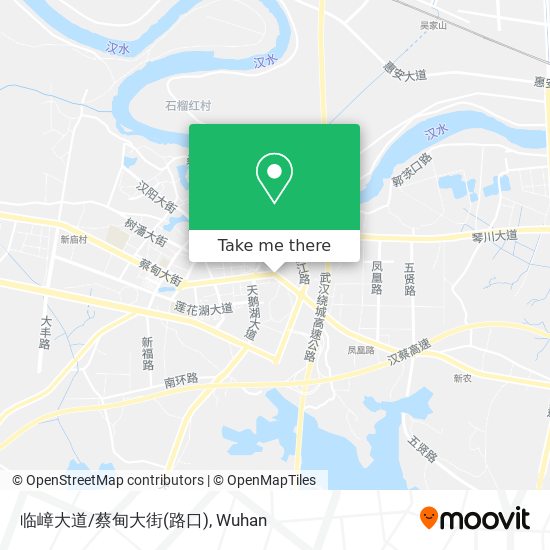 临嶂大道/蔡甸大街(路口) map
