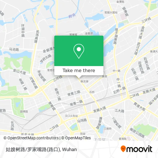 姑嫂树路/罗家嘴路(路口) map