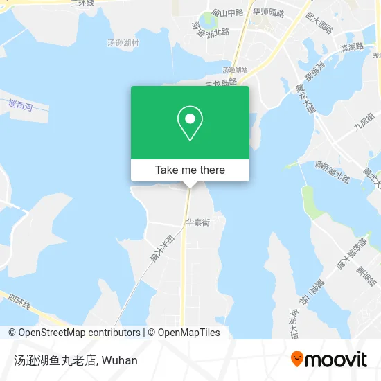 汤逊湖鱼丸老店 map