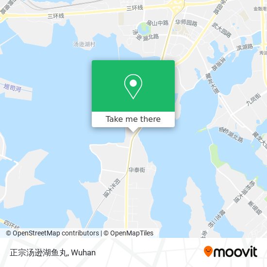 正宗汤逊湖鱼丸 map