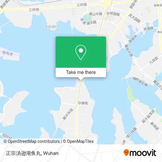 正宗汤逊湖鱼丸 map