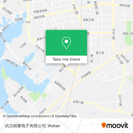 武汉精量电子有限公司 map