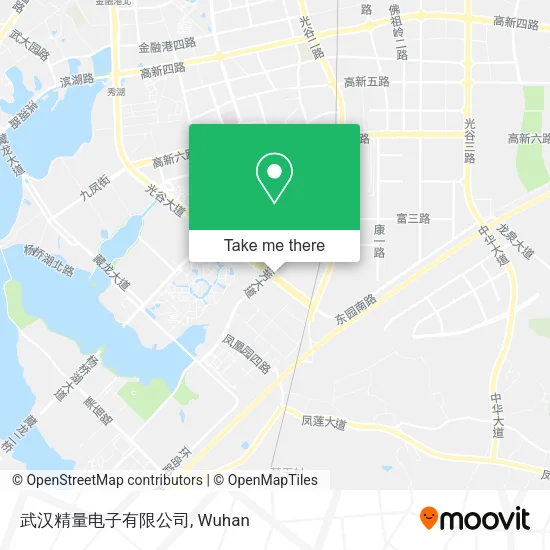 武汉精量电子有限公司 map