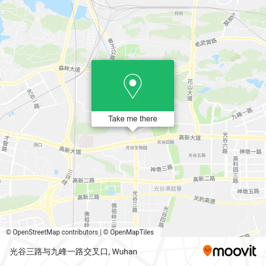 光谷三路与九峰一路交叉口 map
