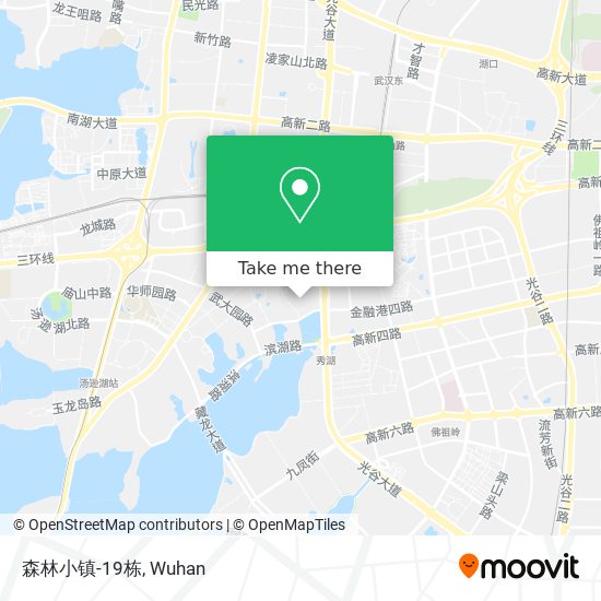 森林小镇-19栋 map