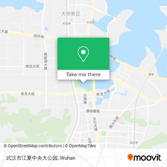 武汉市江夏中央大公园 map
