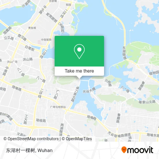 东湖村一棵树 map