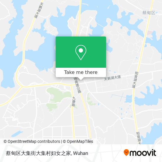 蔡甸区大集街大集村妇女之家 map