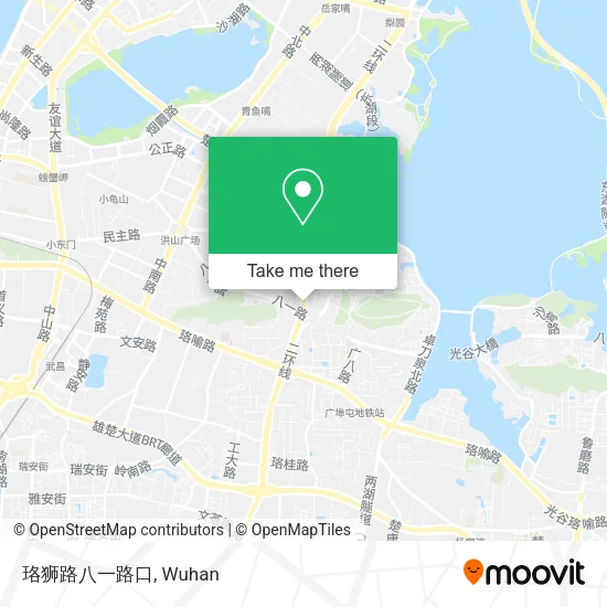 珞狮路八一路口 map