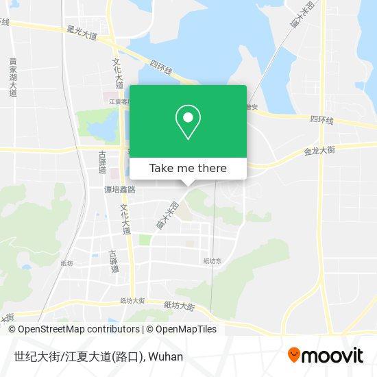 世纪大街/江夏大道(路口) map