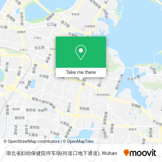 湖北省妇幼保健院停车场(街道口地下通道) map