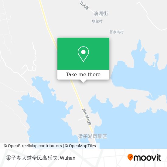 梁子湖大道全民高乐夫 map