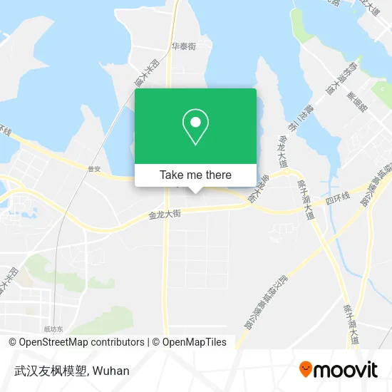 武汉友枫模塑 map