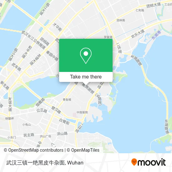 武汉三镇一绝黑皮牛杂面 map