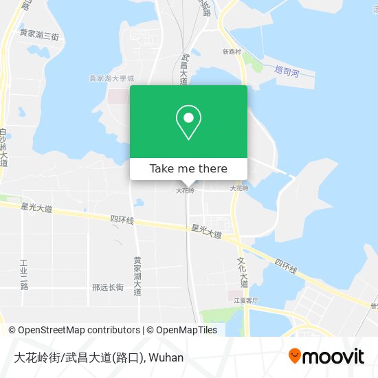 大花岭街/武昌大道(路口) map